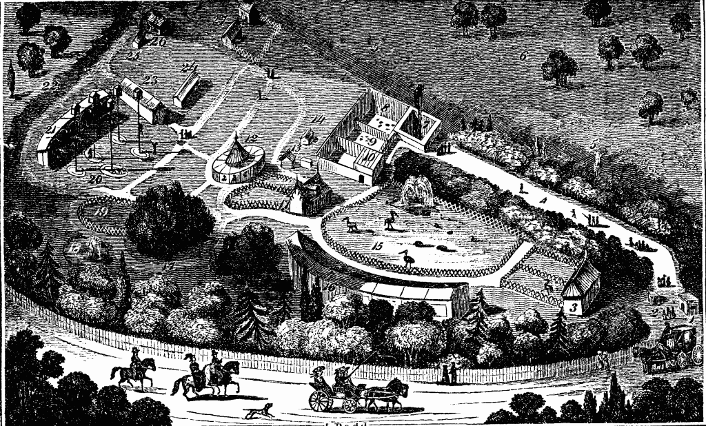 The History of Zoos Hankering for History